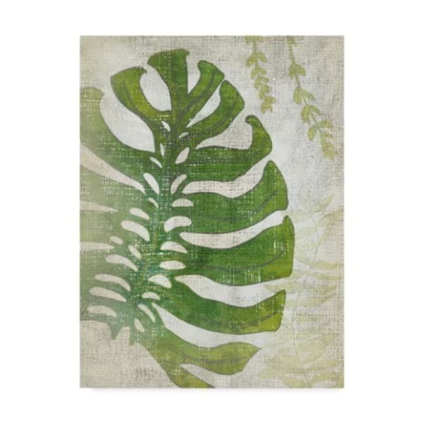 Chariklia Zarris 'Frond Iii' Canvas Art, 18x24, Trademark Fine Art, Mfr#: WAG07577-C1824GG